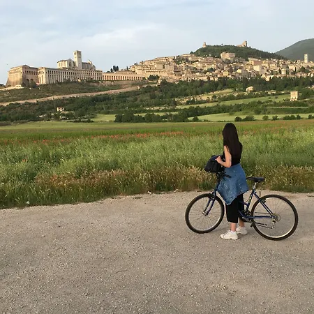 Il Giardino Degli Angeli